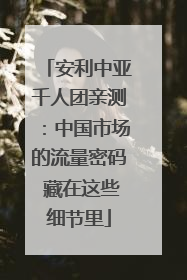 安利中亚千人团亲测：中国市场的流量密码 藏在这些细节里